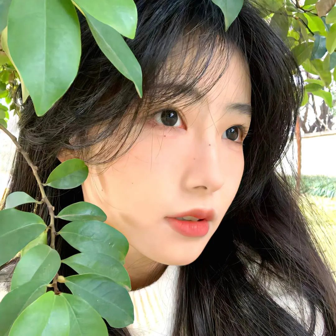 科洛弗悖论